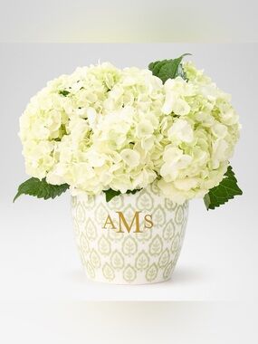 Mark & Graham Sanderson Ceramic Ginger Jar